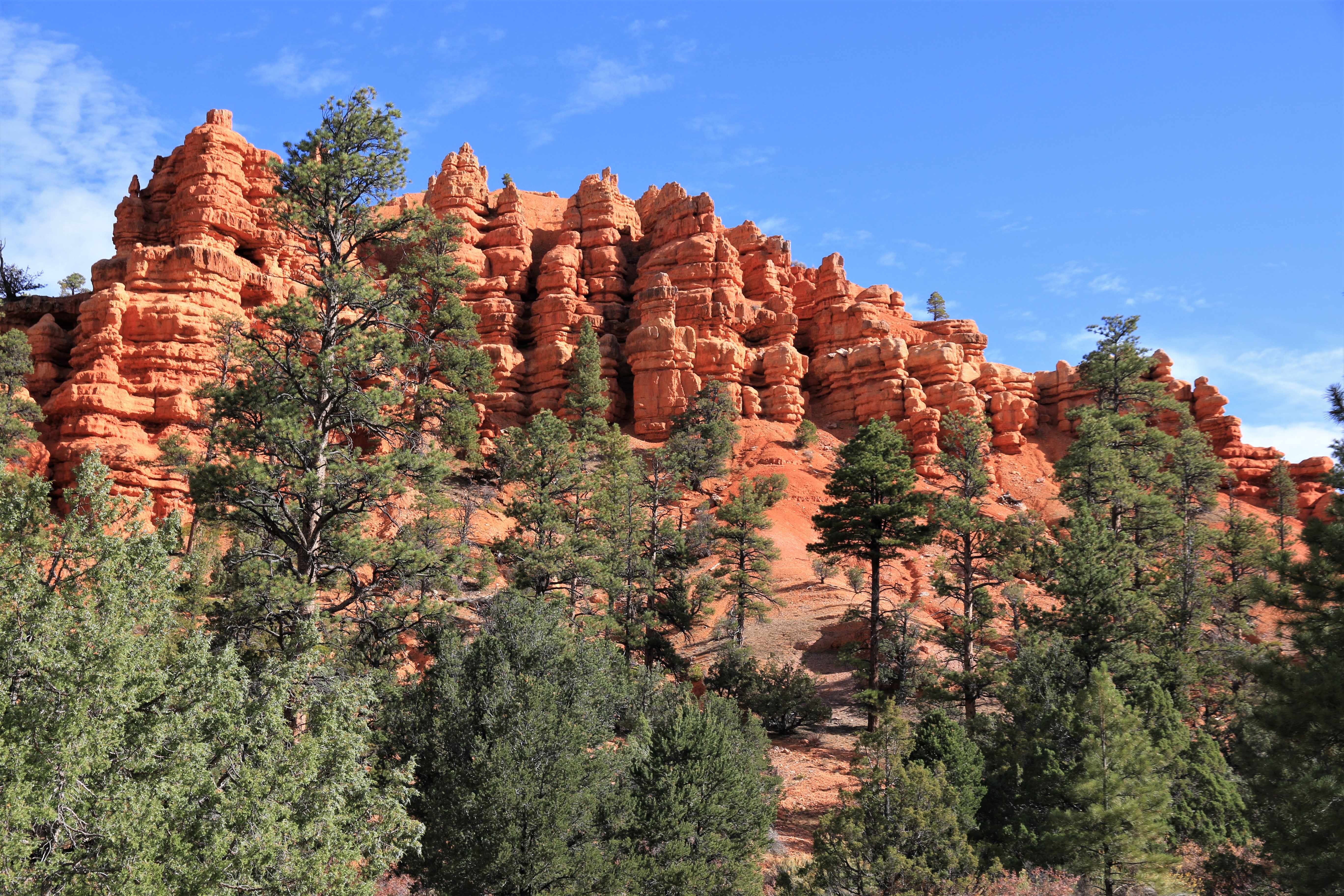 Red Canyon